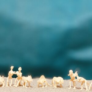 11 Piece Dinosaur Fossils Assorted Bone Figures