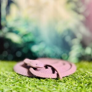 Realistic Snake Rubber Toy